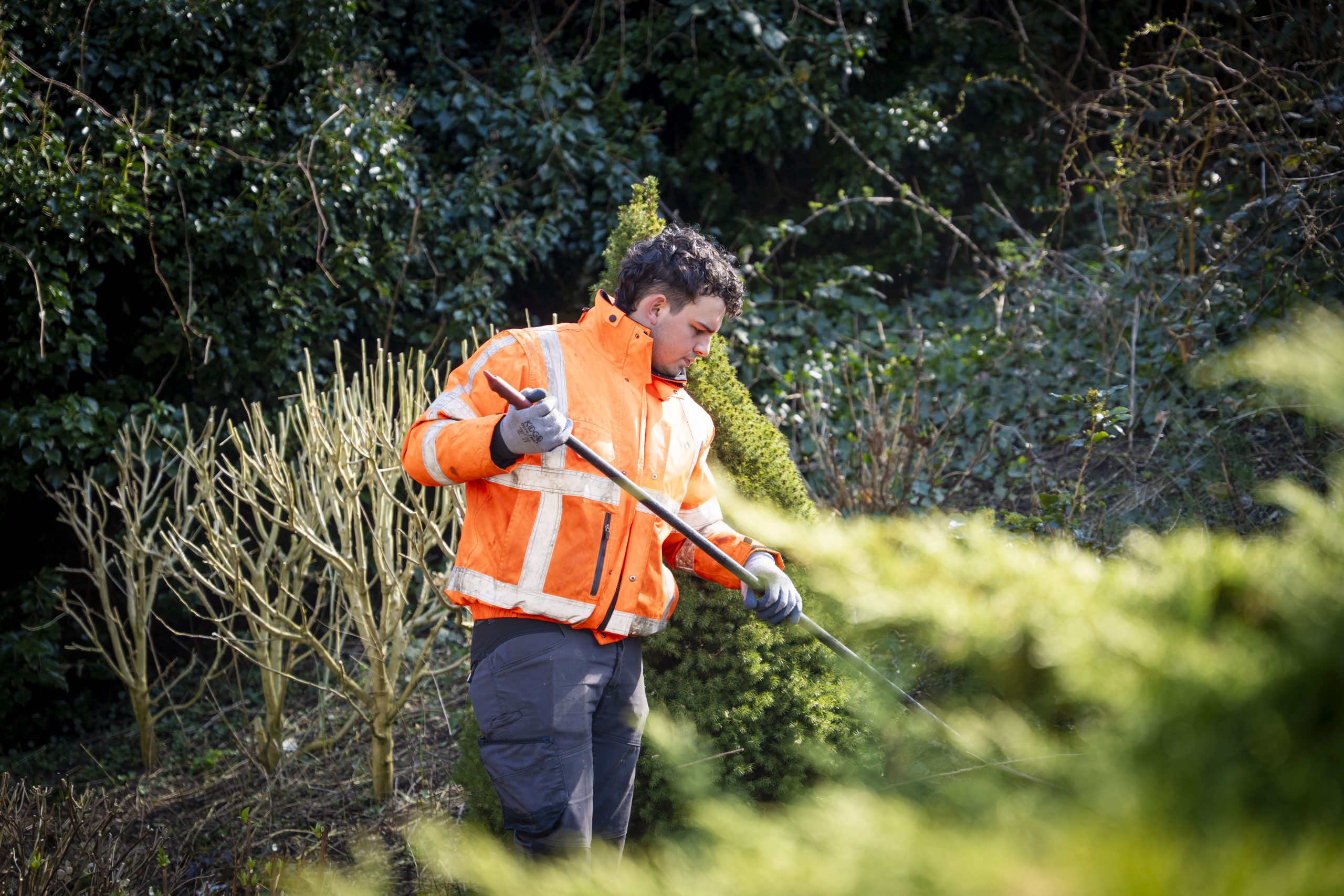 Bij VDBH kun je leren en werken in het groen